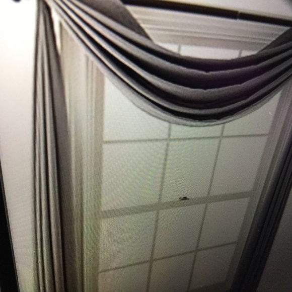 Listing is priced includes for 4 scarves.  Window Scarves by Liz Claborne - Picture 1 of 3